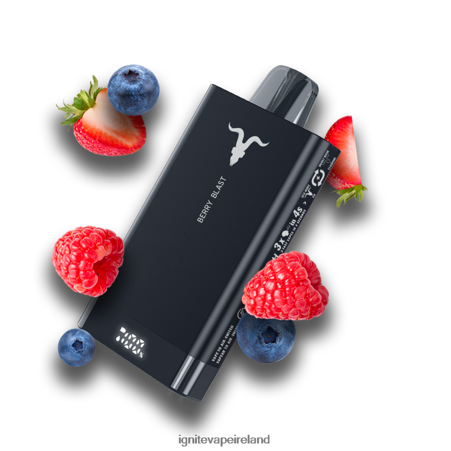 Berry Blast