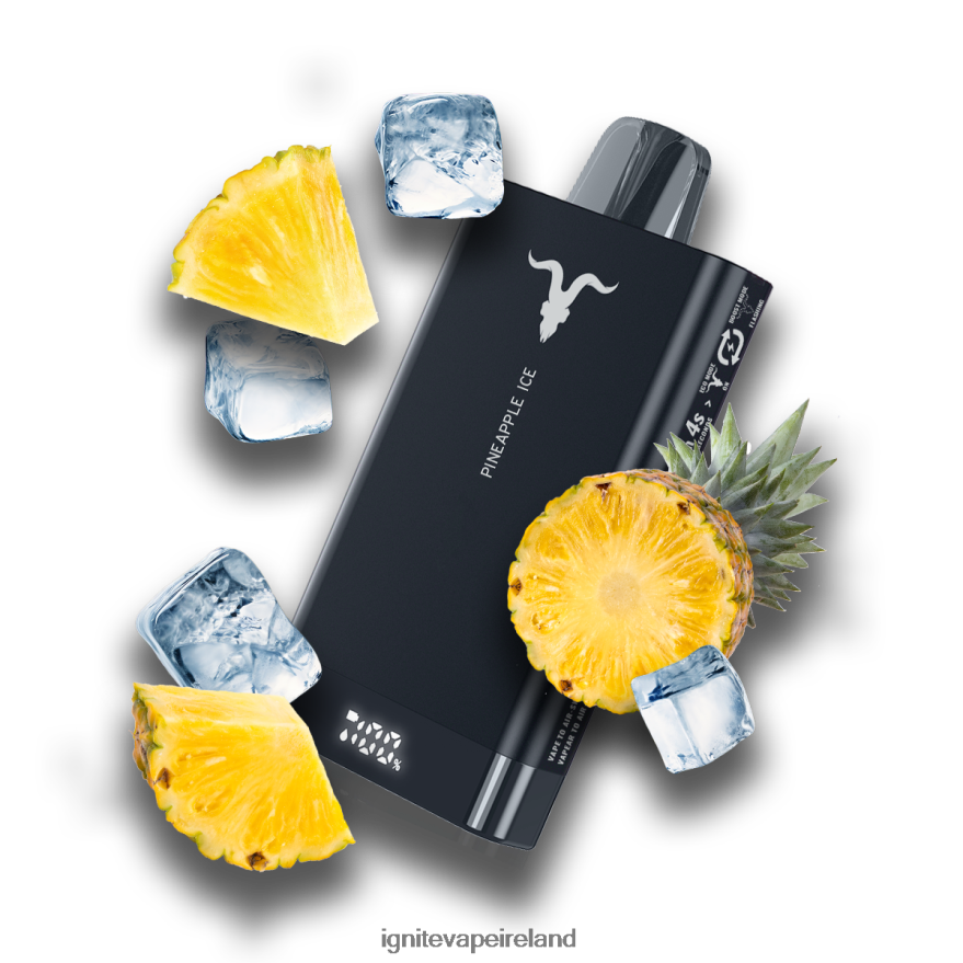 Pineapple Ice