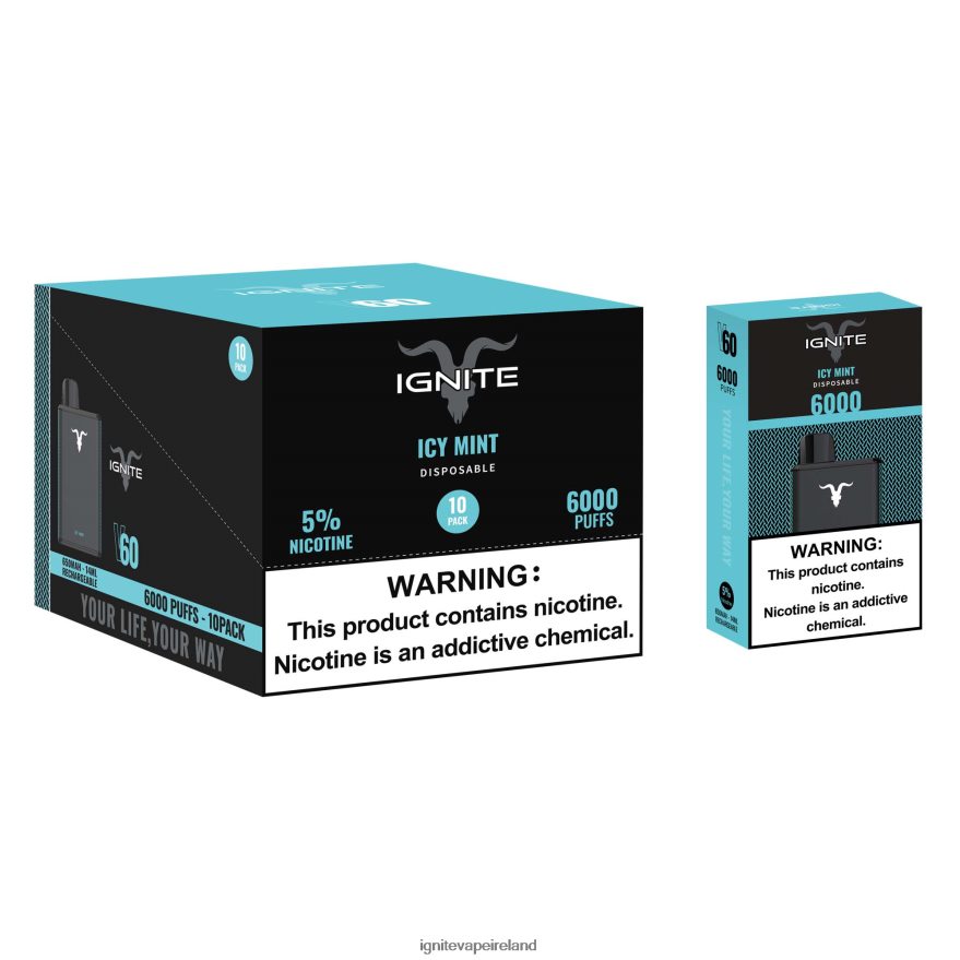 Best IGNITE Flavors - IGNITE V60 Vape Pen 10-Pack Icy Mint 486FD620
