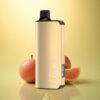 Alibarbar Ingot 9000 Puffs Cool Mint 2350mAh 22ml