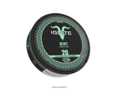 IGNITE Vape Flavors - IGNITE Nicotine Pouches Mint 486FD6167